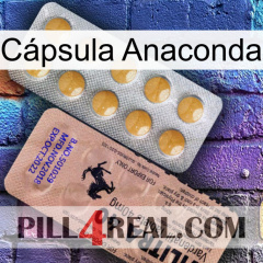 Cápsula Anaconda 41